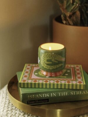 Bougie Paddywax Prickly Pear